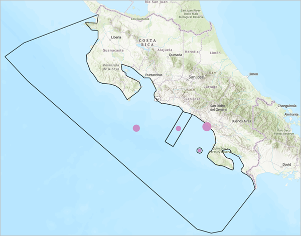 Summarize whale sightings within marine protected areas.